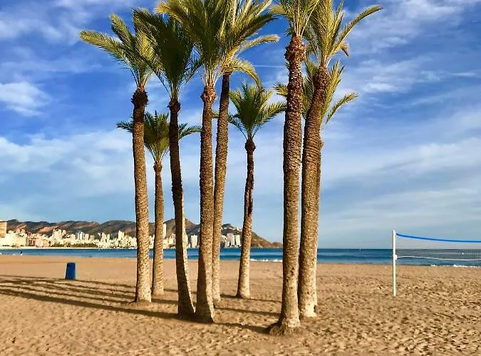 Neptuno On The 公寓 貝尼多姆